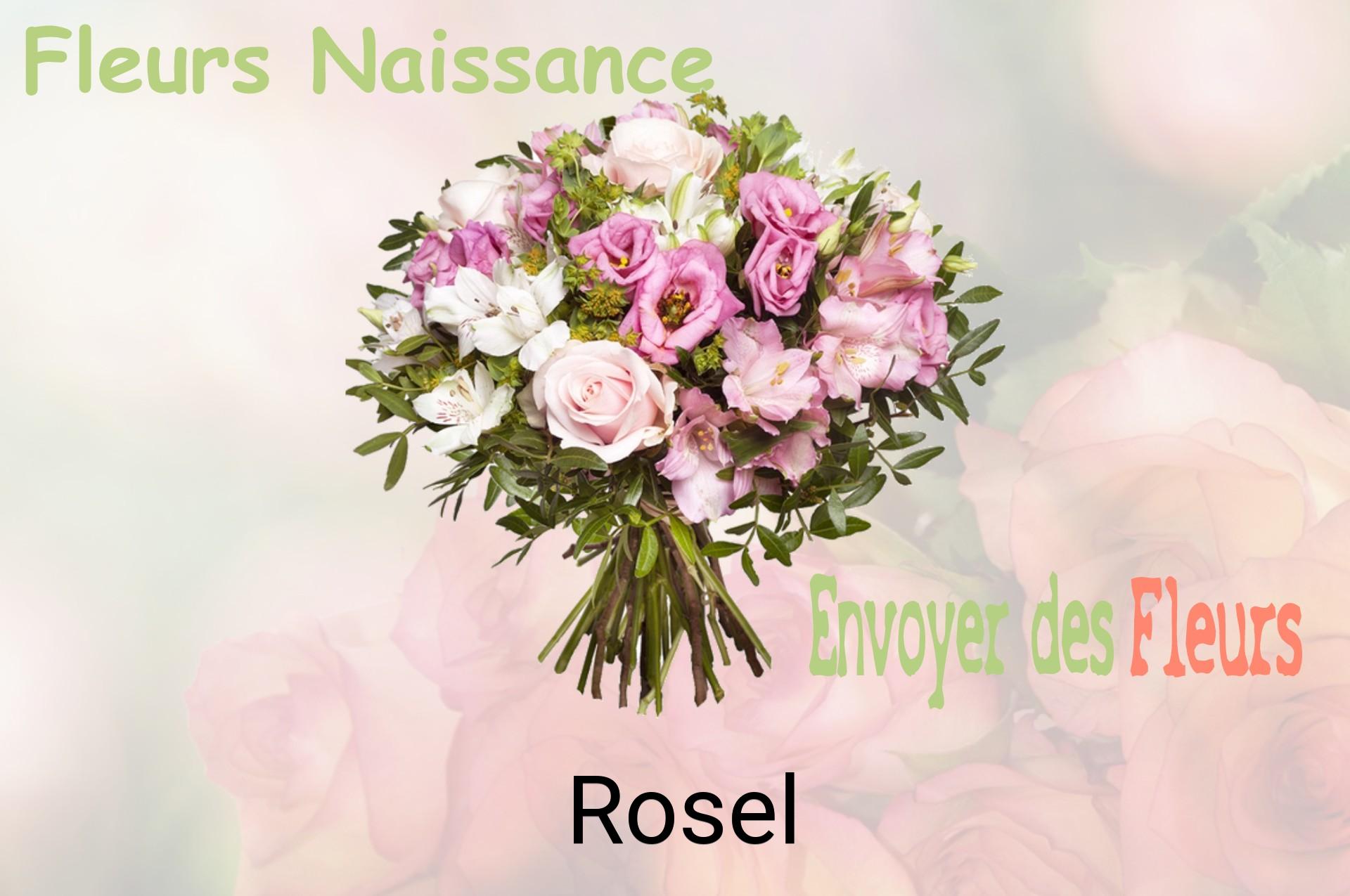Bouquet de fleurs de naissance livré à Rosel